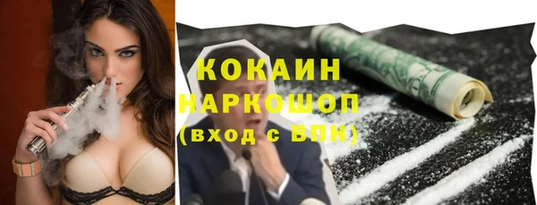 прущие грибы Аркадак