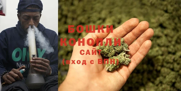 прущие грибы Аркадак