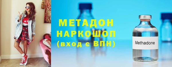 прущие грибы Аркадак