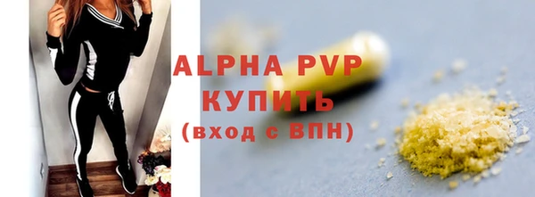 прущие грибы Аркадак