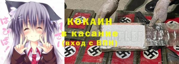 прущие грибы Аркадак