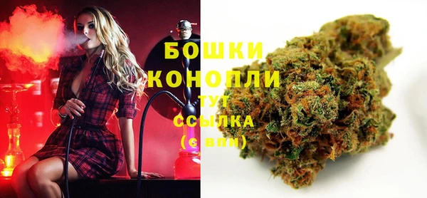 прущие грибы Аркадак