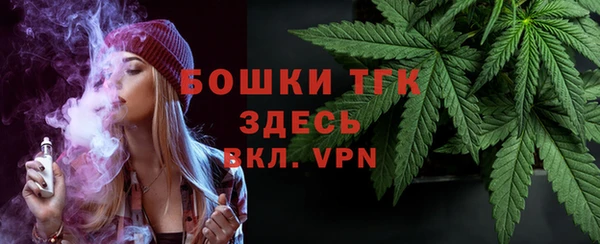 прущие грибы Аркадак