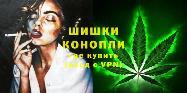 прущие грибы Аркадак