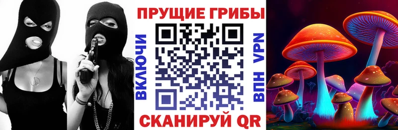 ссылка на мегу ссылки  где купить   Онега  Галлюциногенные грибы ЛСД 